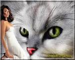 E-Card