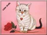 E-Card