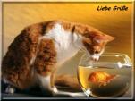 E-Card