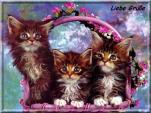 E-Card