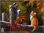 E-Card