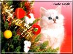 E-Card