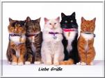 E-Card
