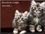 E-Card