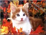 E-Card