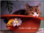 E-Card
