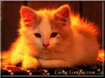 E-Card