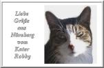 E-Card
