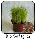 bio-katzengras-150-1
