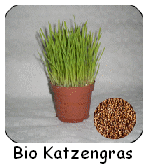 bio-katzengras-150