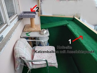 hofseite---katzenbalkon-mit-aussichtspunkt