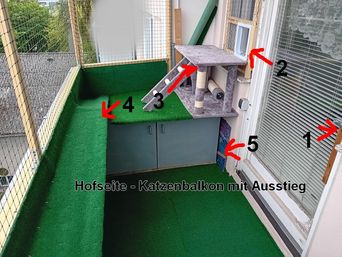 hofseite---katzenbalkon-mit-ausstieg