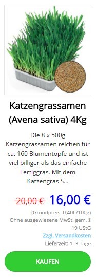 Katzengras samen kaufen