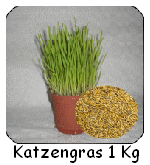 katzengras-samen-1-kg-150-2