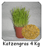 katzengras-samen-4-kg-150-3