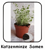 katzenminze-samen-150-1