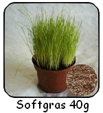 softgras-150