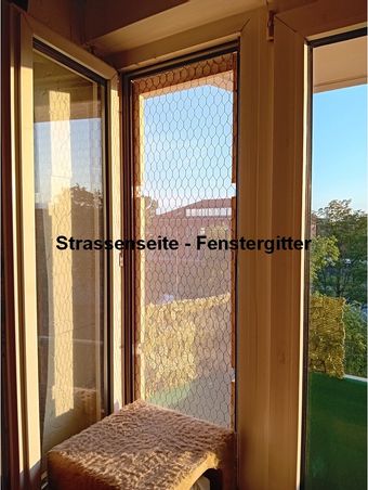strassenseite---fenstergitter-2